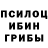 Галлюциногенные грибы Psilocybe Azzeh