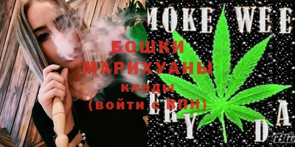 шишки Алексеевка