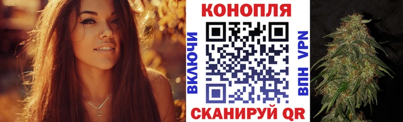 Шишки марихуана марихуана  что такое   это телеграм  Большой Камень 